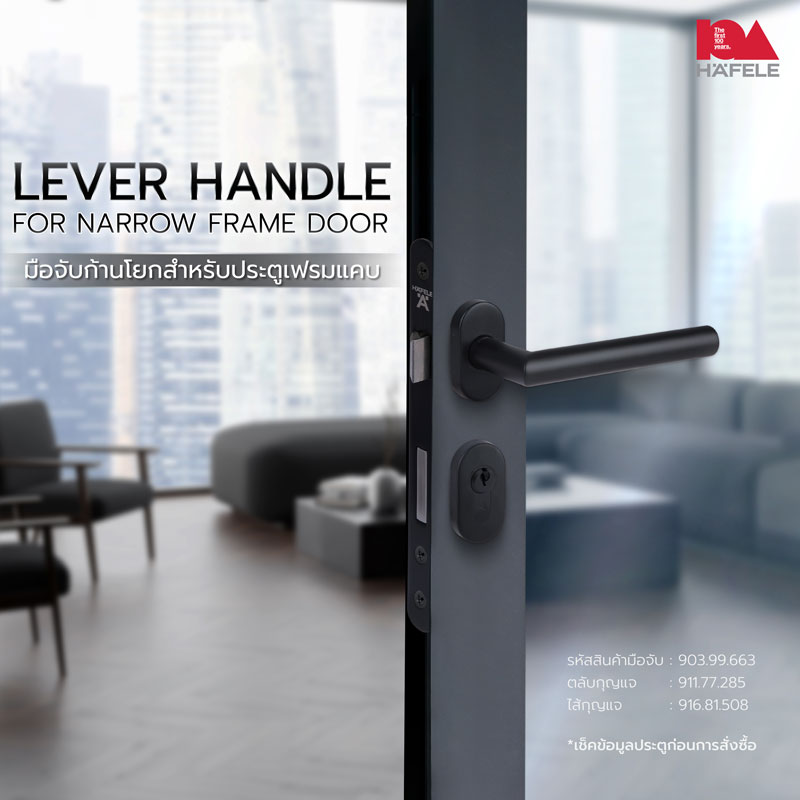 LEVER HANDLE FOR NARROW FRAME DOOR